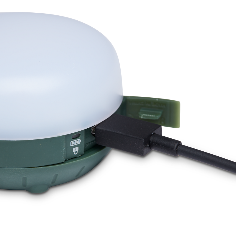 Black Diamond Moji R+ Lantern Laurel-4